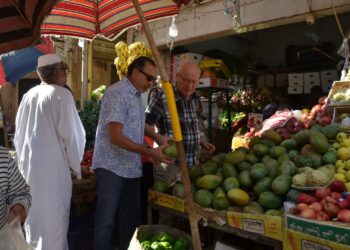 مبعوث الرئيس الروسي يزور سوق سليمان جوهر بالدقى .