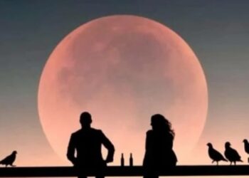 ﴿ فٶادُّ مُضِیء﴾