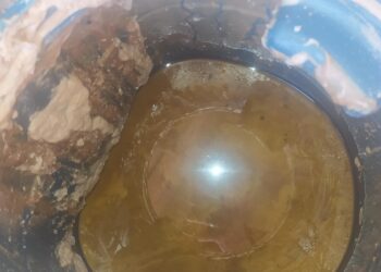 التحفظ على ٣١ طن مواد غذائية منتهية الصلاحية قبل بيعها في الأسواق بالغربية