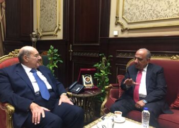 رئيس مجلس الشيوخ يستقبل وزير قطاع الأعمال العام.