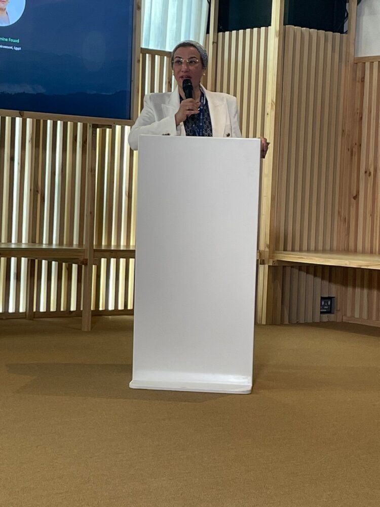 "وزيرة البيئة" تشارك فى الحدث الجانبي للتواءم بين مبادرتي الرئاستين المصرية والاماراتية لمؤتمري COP27 وCOP28 1 “وزيرة البيئة” تشارك فى الحدث الجانبي للتواءم بين مبادرتي الرئاستين المصرية والاماراتية لمؤتمري COP27 وCOP28