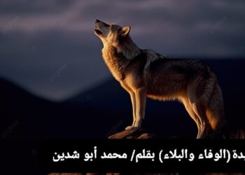 قصيدة «الوفاء والبلاء»