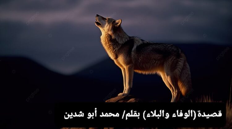 قصيدة «الوفاء والبلاء»