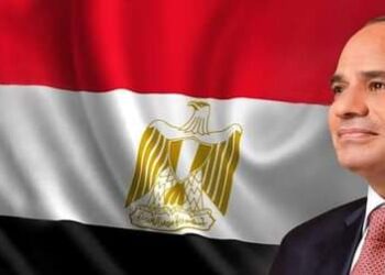 الرئيس السيسي يهنيء الشعب المصري وجميع شعوب العالم بمناسبة العام الميلادي الجديد ٢٠٢٤