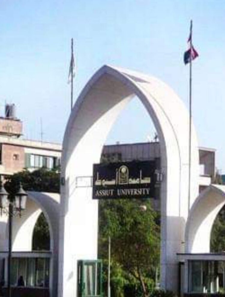 جامعة أسيوط تحرز تقدمادوليافي التصنيفات العالمية لعام 2023 1 جامعة أسيوط تحرز تقدمادوليافي التصنيفات العالمية لعام 2023