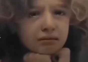 ” أغصان الزيتون ” بقلم الشاعر محمد مصطفى مصطفى