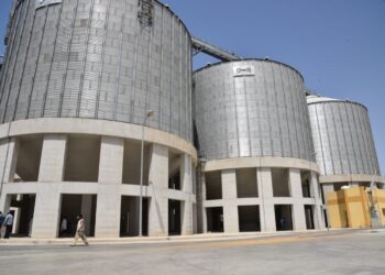 إنتظام عملية توريد القمح لصومعة محافظة مطروح بقرية الشمامة بمدينة الحمام