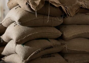 السجن المشدد لمستشار وزير التموين وآخرين لإدانتهم بارتكاب جرائم حجب السلع التموينية والرشوة