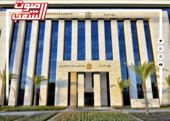 وزير العمل : صندوق إعانات الطوارئ للعمال له دور إجتماعي وإقتصادي وداعم للشركات المتعثرة