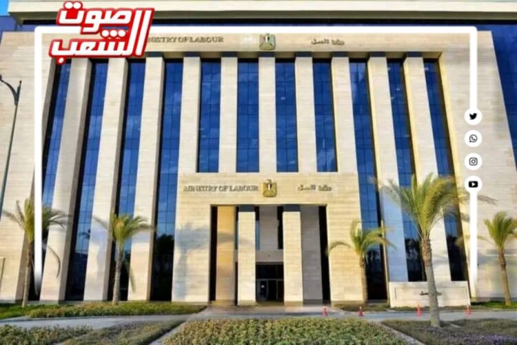 وزير العمل : صندوق إعانات الطوارئ للعمال له دور إجتماعي وإقتصادي وداعم للشركات المتعثرة 1 وزير العمل : صندوق إعانات الطوارئ للعمال له دور إجتماعي وإقتصادي وداعم للشركات المتعثرة