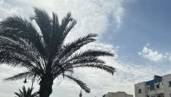 الأرصاد: ارتفاع درجات الحرارة مستمر الأسبوع المقبل والعظمى بالقاهرة تصل 37 درجة