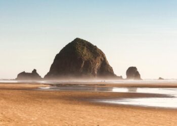 “مخلوق مرعب” من أعماق البحار يظهر على شاطئ ولاية أمريكية