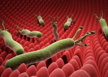 لتجنبها … 7 أطعمة تساعدك في القضاء على جرثومة المعدة