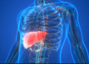 اكتشاف جديد يفسر سبب ارتفاع معدل الوفيات بين مرضى الكبد الدهني النحيفين