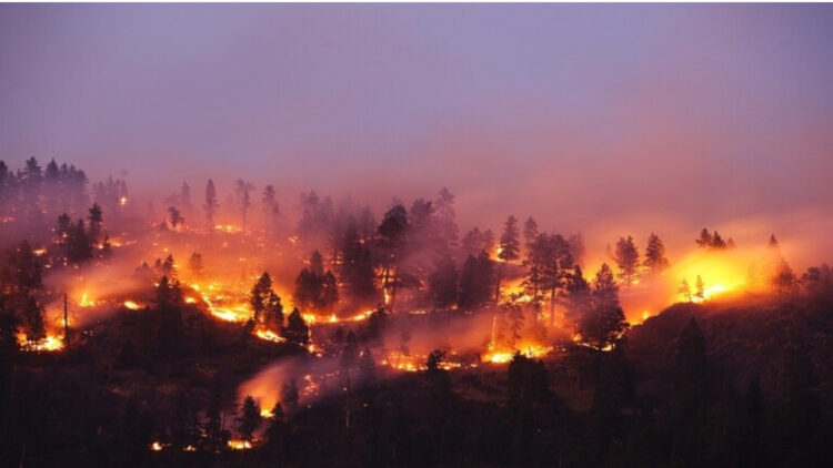 اليونان.. اندلاع النيران في غابات قرب أثينا تزامنا مع اقتراب موسم الحرائق