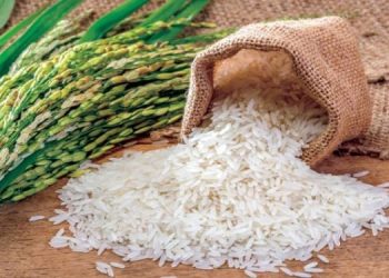 استقرار أسعار الأرز اليوم الجمعة بالسوق المحلى..