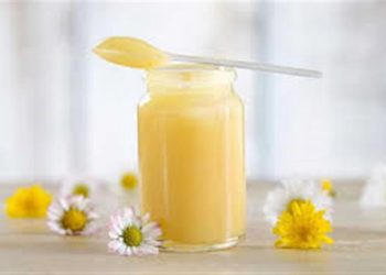 فوائد غذاء ملكات النحل للصحة والجسد وقيمه الغذائية..