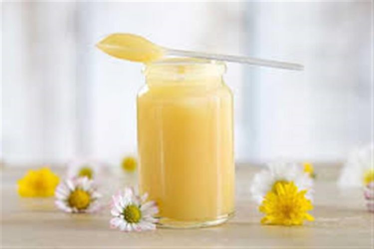 فوائد غذاء ملكات النحل للصحة والجسد وقيمه الغذائية.. 1 فوائد غذاء ملكات النحل للصحة والجسد وقيمه الغذائية..