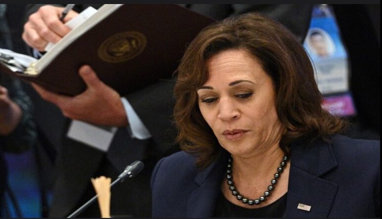 نيوزويك: كامالا هاريس تتصدر قائمة المتنافسين لنيل ترشيح الحزب الديمقراطي للانتخابات الرئاسية 1 نيوزويك: كامالا هاريس تتصدر قائمة المتنافسين لنيل ترشيح الحزب الديمقراطي للانتخابات الرئاسية