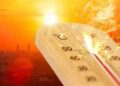 تفاصيل حالة الطقس اليوم الجمعة 5/7/2024 فى مصر 3 تفاصيل حالة الطقس اليوم الجمعة 5/7/2024 فى مصر