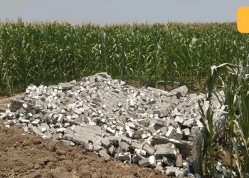 محافظة الجيزة: تنفيذ ١١١ حالة إزالة لتعديات على أراضى زراعية بالمراكز بإجمالى مساحة ٣ فدان و ١٥ قيراط