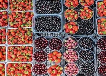 ماذا يحدث لجسمك إن اقتصر طعامك على الثمار والخضروات لمدة أسبوع؟