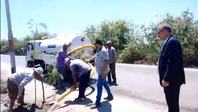 محافظ كفرالشيخ يتابع جهود زراعة الأشجار بقلين ضمن المبادرة الرئاسية "100 مليون شجرة" 1 محافظ كفرالشيخ يتابع جهود زراعة الأشجار بقلين ضمن المبادرة الرئاسية “100 مليون شجرة”