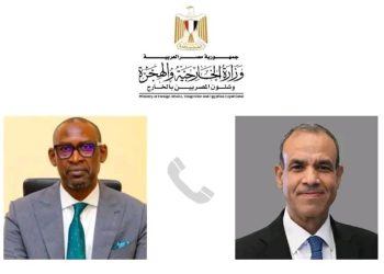 وزير الخارجية والهجرة وشئون المصريين بالخارج يجري اتصالاً هاتفياً مع وزير خارجية مالي