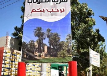 محافظ أسوان يتابع نسب تنفيذ عدد 23 من المشروعات الجارية بقرية الطوناب بإدفو ضمن المبادرة الرئاسية ” حياة كريمة “