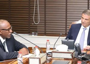 وزير الزراعة يبحث مع البعثة الإشرافية للايفاد جهود تنمية البيئات الصحراوية في مطروح