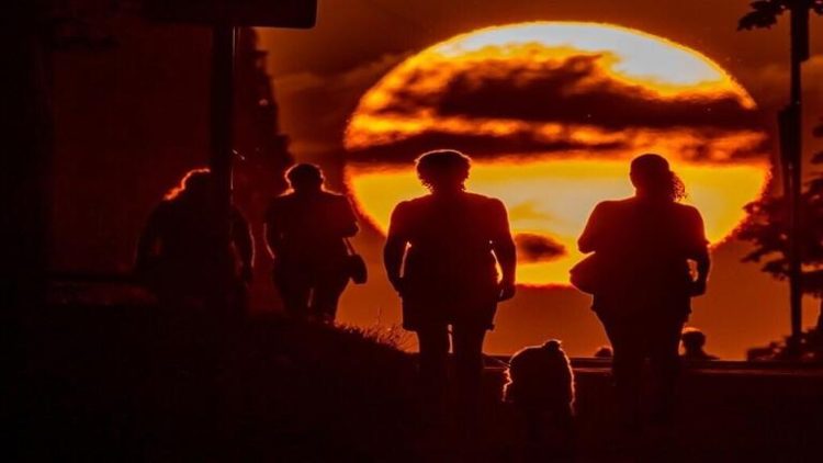 علماء: دورة النشاط الشمسي في القرن الحادي والعشرين أقوى من السابق 1 علماء: دورة النشاط الشمسي في القرن الحادي والعشرين أقوى من السابق