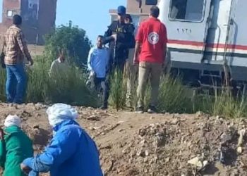 الهلال الأحمر المصري يقدم خدمات الدعم النفسي والمساعدات العاجلة لمصابي حادث تصادم قطاري المنيا 8 الهلال الأحمر المصري يقدم خدمات الدعم النفسي والمساعدات العاجلة لمصابي حادث تصادم قطاري المنيا