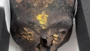 استرداد ثلاث قطع أثرية من ألمانيا وتسليمها للسفارة المصرية فى برلين