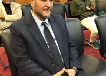 محمود الشاذلى يكتب : رسائل هامه للحكومه والمجتمع فى ختام مؤتمر الصحفيين  .