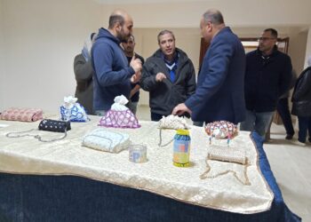 رئيس قطاع الشباب يتفقد صالات الأنشطة والملاعب بمديرية الشباب والرياضة استعداداً لزيارة وزير الشباب والرياضة