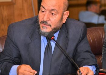 محمود الشاذلى يكتب : الإراده الوطنيه المصريه تتجلى فى زيارة ترامب .