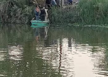 مصرع طفل بعد سقوطه في مجري مائي بالمنوفية