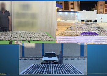 الداخلية تضبط عناصر شديدة الخطورة بالمنيا وبحوزتهم اسلحة