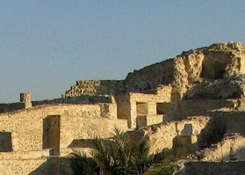 الرياض.. مباحثات مشتركة بين ولي العهد السعودي ونائب رئيس الإمارات 5 الرياض.. مباحثات مشتركة بين ولي العهد السعودي ونائب رئيس الإمارات