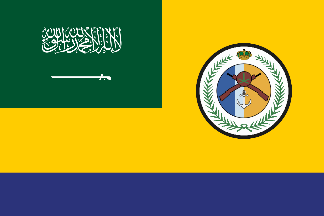 السعودية.. تصاعد التنسيق العسكري الدولي لتأمين الملاحة ومواجهة تهديدات الحوثيين