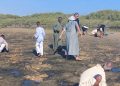 وزارة التنمية المحلية والبيئة وجمعية بيئة بلا حدود تحققان إنجازًا جديدًا في استعادة النظم البيئية الساحلية ومواجهة تغير المناخ 3 وزارة التنمية المحلية والبيئة وجمعية بيئة بلا حدود تحققان إنجازًا جديدًا في استعادة النظم البيئية الساحلية ومواجهة تغير المناخ