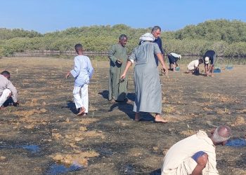 وزارة التنمية المحلية والبيئة وجمعية بيئة بلا حدود تحققان إنجازًا جديدًا في استعادة النظم البيئية الساحلية ومواجهة تغير المناخ 5 وزارة التنمية المحلية والبيئة وجمعية بيئة بلا حدود تحققان إنجازًا جديدًا في استعادة النظم البيئية الساحلية ومواجهة تغير المناخ